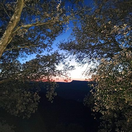 La Terraza Hotell Banyoles Exteriör bild